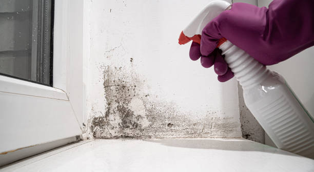  Mcgraw, NY Water damage restoration Pros